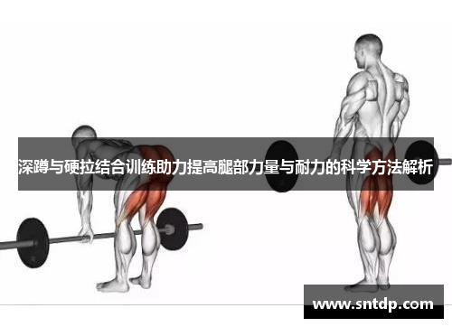 深蹲与硬拉结合训练助力提高腿部力量与耐力的科学方法解析