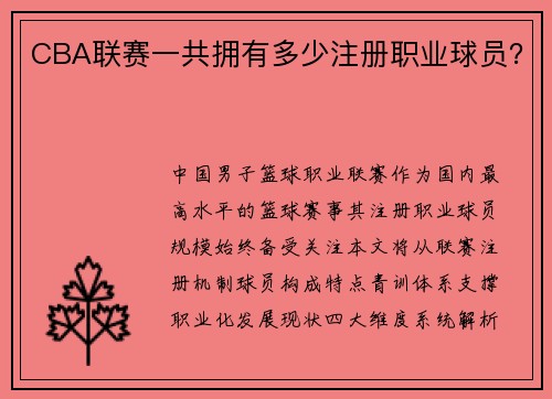 CBA联赛一共拥有多少注册职业球员？